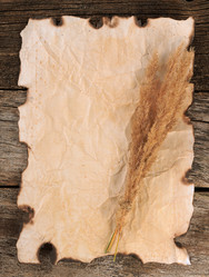 Similar image 13098517