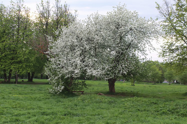 Similar image 13079661