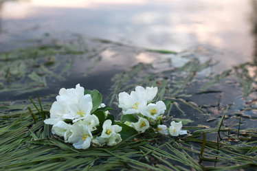 Similar image 13079862