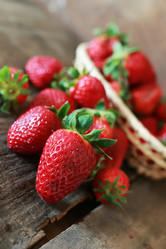 Similar image 13080040