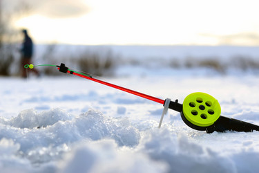 Similar image 13080079