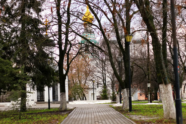 Similar image 13080043