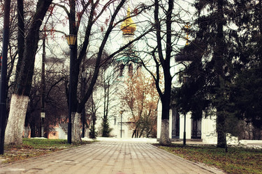 Similar image 13080063