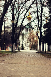 Similar image 13080080