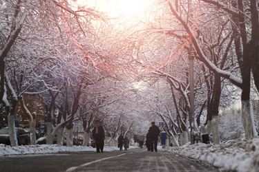 Similar image 13079765