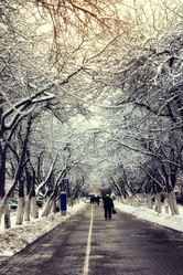 Similar image 13079806