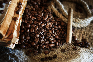 Similar image 13079884