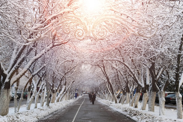 Similar image 13079984