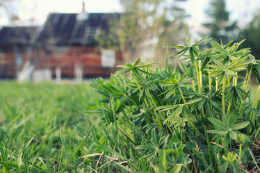 Similar image 13080030