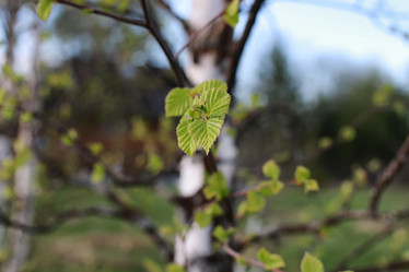 Similar image 13080068