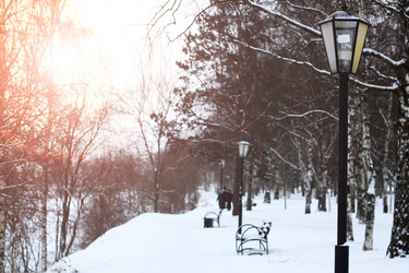 Similar image 13079768