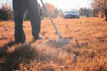 Similar image 13080106