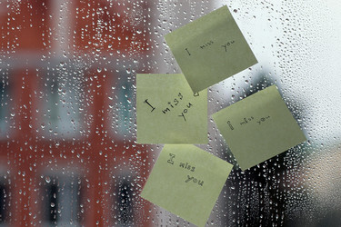 Similar image 13079789