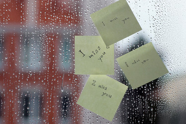 Similar image 13079809