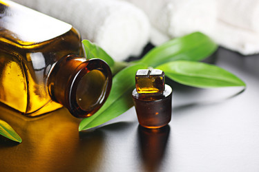 Similar image 13103799