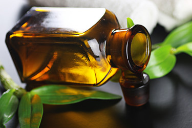 Similar image 13103804