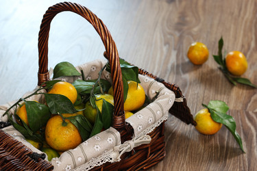 Similar image 13103808