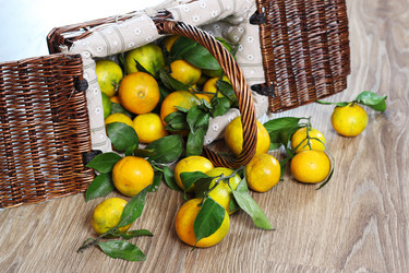 Similar image 13103809