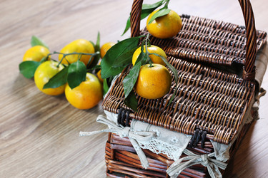 Similar image 13103811