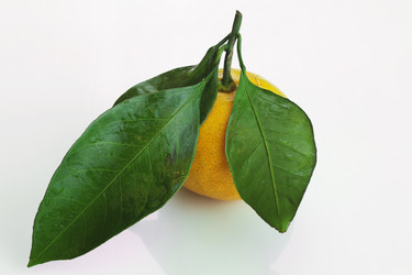 Similar image 13103812