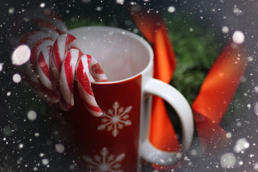 Similar image 13103743