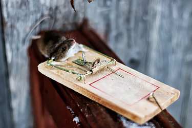 Similar image 13103703