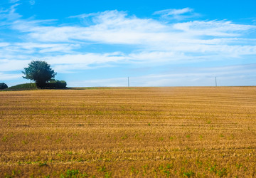 Similar image 13078488