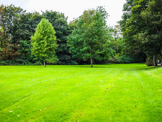 Similar image 13078402