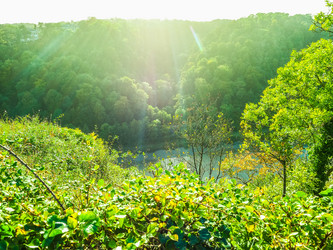 Similar image 13078443