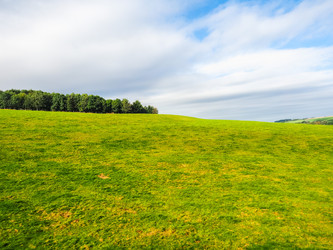 Similar image 13078507