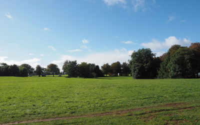 Similar image 13078346