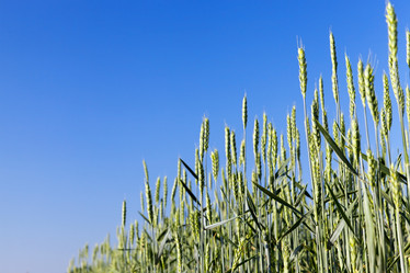 Similar image 13094968