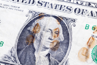 Similar image 13074235