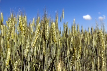 Similar image 13094969