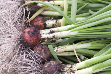 Similar image 13094989