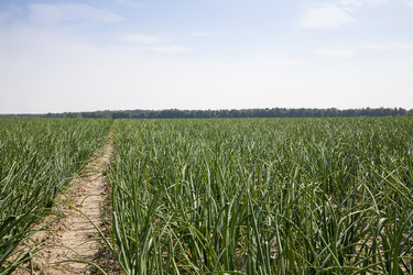 Similar image 13094976