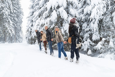 Similar image 13094518