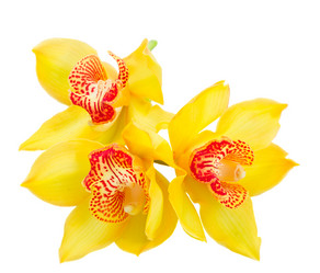 Similar image 13088414