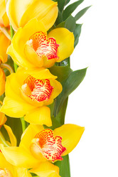 Similar image 13088616