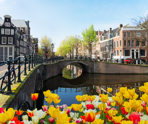 Similar image 13088834