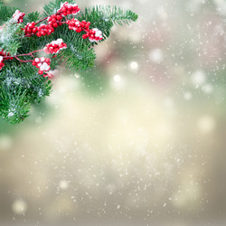 Similar image 13088057