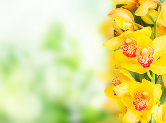 Similar image 13088077