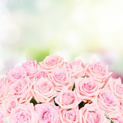 Similar image 13088134