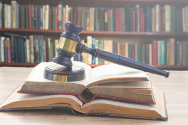 Similar image 13088534