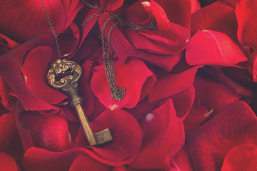 Similar image 13088755