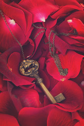 Similar image 13088774