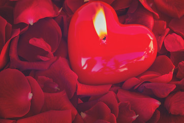 Similar image 13088775