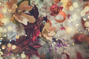 Similar image 13088138