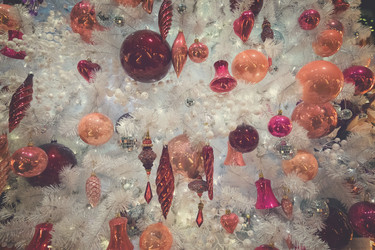 Similar image 13088215