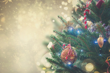 Similar image 13088216